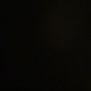 Meet your Posher, Lenae